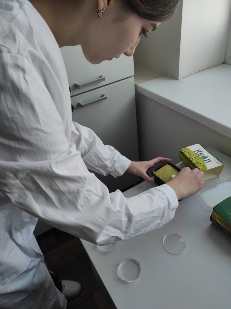 Исследование процесса выращивания микрозелени