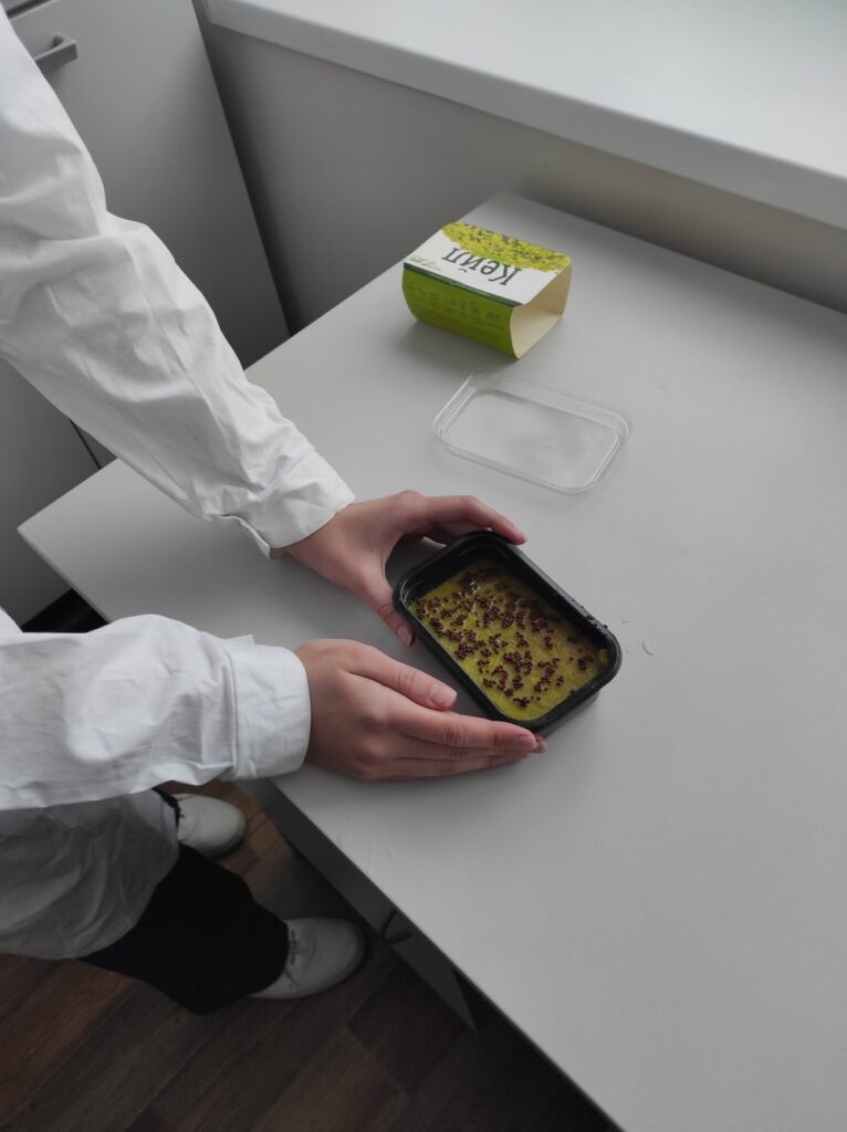 Исследование процесса выращивания микрозелени