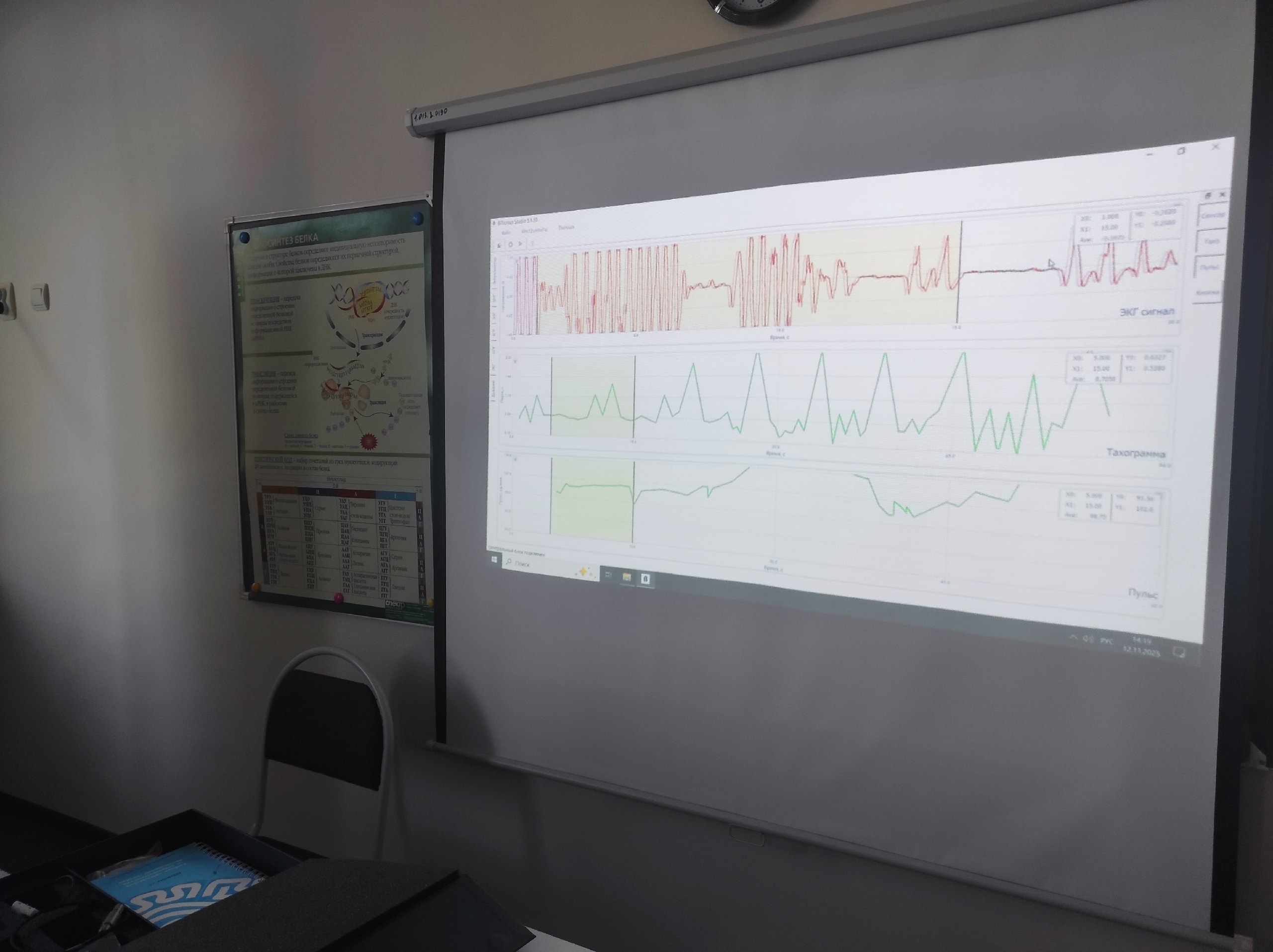 Точка Роста